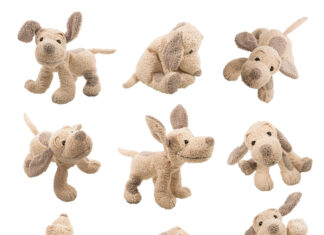 Ein treuer Begleiter für Groß und Klein