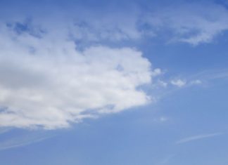 Die Natur als Fotomotiv